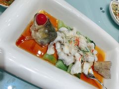 明珠鲈鱼-云龙山庄