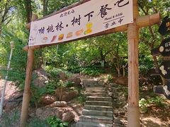 -北京张裕爱斐堡酒庄