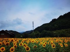 -道须沟旅游风景区