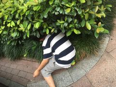 -新湖明珠城