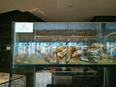 android_upload_pic-洲际酒店·地平线全日餐厅HORIZON CAFÉ