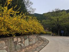 -鬼笑石后山停车场