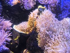 -太平洋海底世界