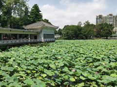-荔湾湖公园