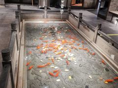 -四季民福烤鸭店(前门店)