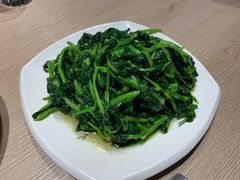 清炒豌豆尖-日进一片海.生腌海鲜火锅.宵夜烧烤(三里屯总店)