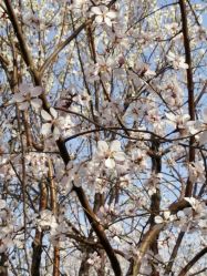 android_upload_pic-戛纳印象摄影(潮拍定制馆)