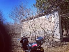 -大觉寺-停车场