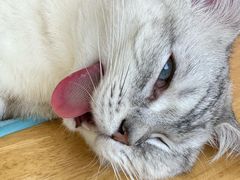 -美迦爱-牙专科·兔科·骨科诊疗中心(北苑店)