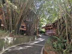 -海南槟榔谷黎苗文化旅游区