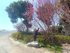 -美味之家·湖景农家乐(太湖东山店)