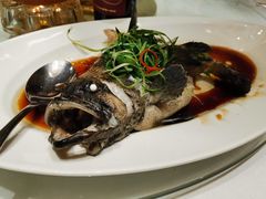 清蒸老虎斑-唐宫海鲜舫