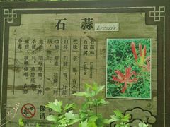 -神农架景区