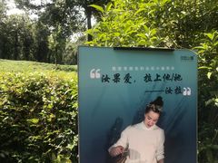 -野蔓果·山野菜(西湖景区·龙井茶田店)