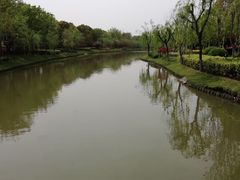 -上海鲜花港
