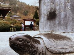 -华清宫景区