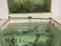 -海盗餐厅