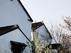 -树山生态村