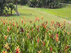 -植物园哈利亚餐厅