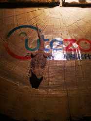 -酷嗒动物文化乐园(cutezoo西溪乐天城店)