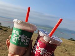 -南澳岛打卡果汁冰公司