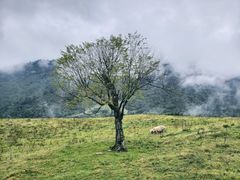 -硗碛藏寨·神木垒景区