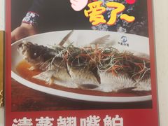 -丹江渔村(望京店)