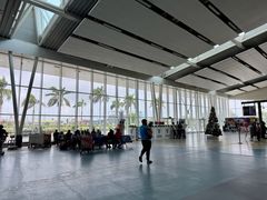 -朱利叶斯·尼雷尔国际机场