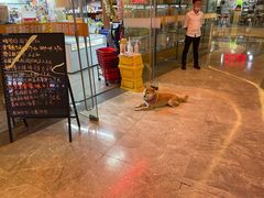 -潇湘阁(望京SOHO店)