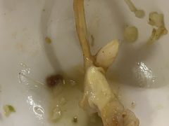 -华记粥饭店(印象容桂主题风情街店)