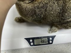 -雨林宠物医院 非犬猫异宠专科