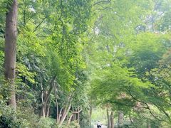 -杭州植物园