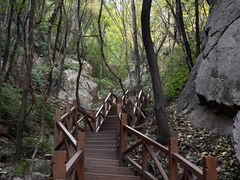 -大岭沟猕猴桃谷风景区