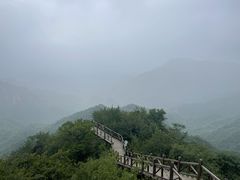 -大岭沟猕猴桃谷风景区