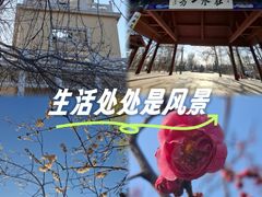 -天津水上公园