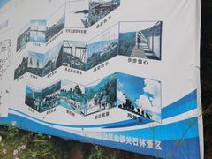 -铜川市金锁关石林