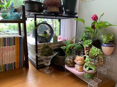 -街角 T·COFFEE 融合料理·BISTRO(车公庙店)