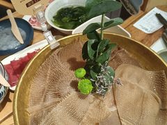 -巴奴毛肚火锅概念餐厅