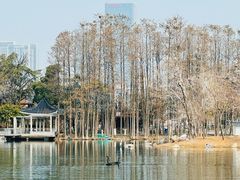 -武汉动物园