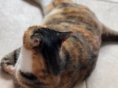 -新荟城(望京店)