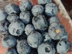 -堤口果品批发市场