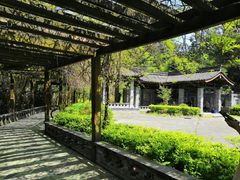 -铁山坪森林公园