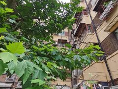 -溧阳路经典老洋房