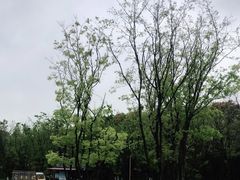 -狼山风景名胜区