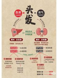 点击看大图 -玛莲朵·海菲秀冰珀科