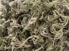 -河南省黄河迎宾馆