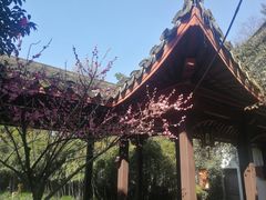 -杭州黄龙洞