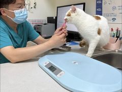 -美联众合24小时·皮肤科·外科·全科诊疗中心(华苑分院)