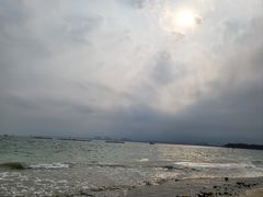 -东郊椰林