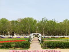 -石家庄市植物园
